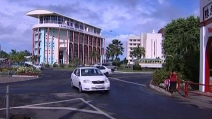 Samoan politicians propose to cull stray dogs and export meat