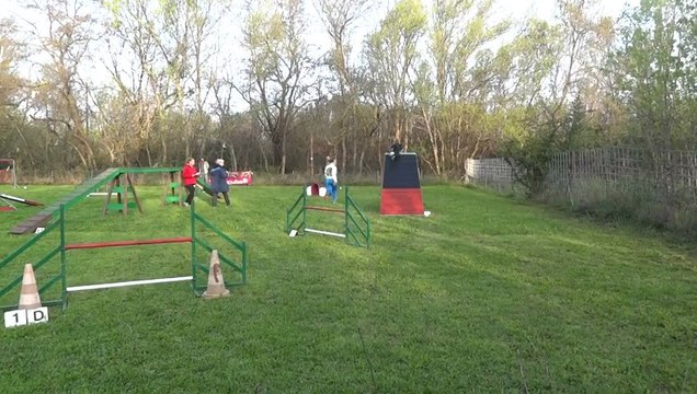 Karine et Blue Boy concours agility Salles d'Aude 07/04/2013