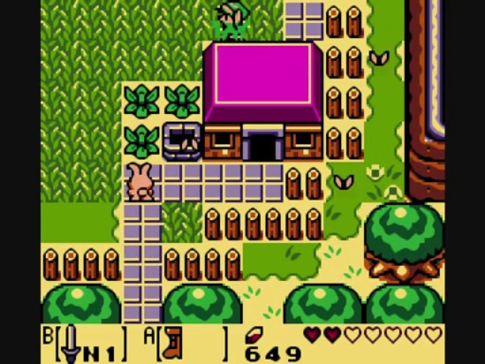 5) Zelda Link's Awakening DX Walkthrough - Le village des animaux