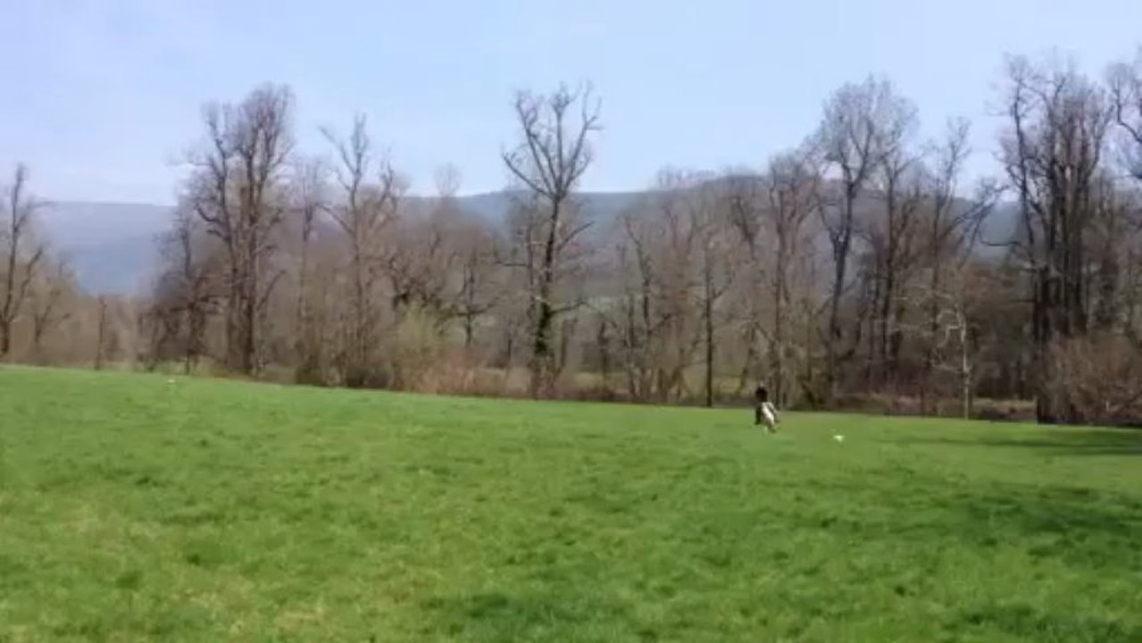 Réglisse avril 2013