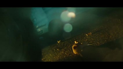 Tesis sobre un homicidio (Hernán A. Goldfrid, 2.013)