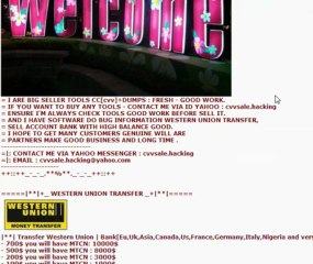 sell cvv fresh and good balance