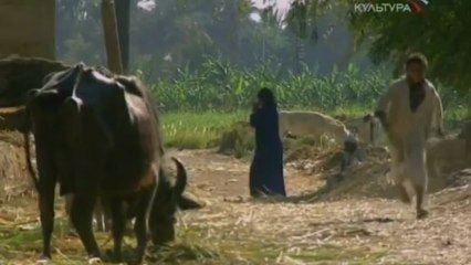 Скальные Храмы Абу-Симбела