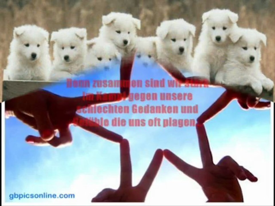 Schatten der Vergangenheit