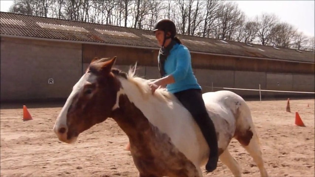 Equifeel Epreuve Montée