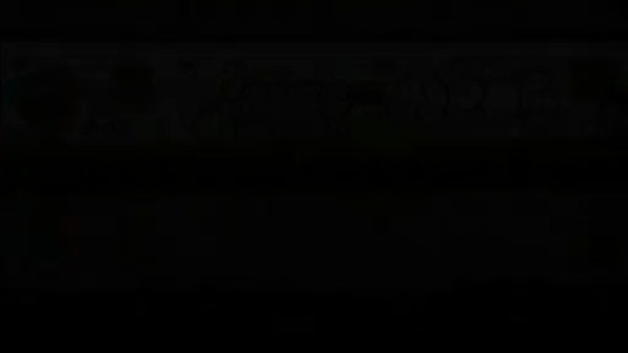 Bicicletas de bambú