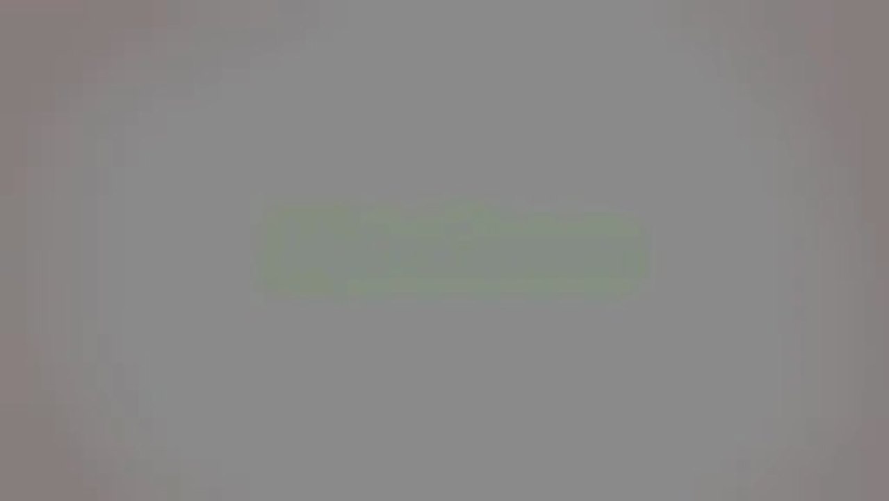 Mittens - Présentation de Mittens