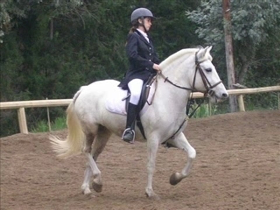 Flikalea_0001