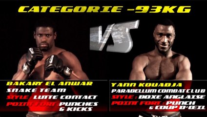 100% FIGHT 15 - BAKARY EL ANWAR vs YANN KOUADJA (Trailer)