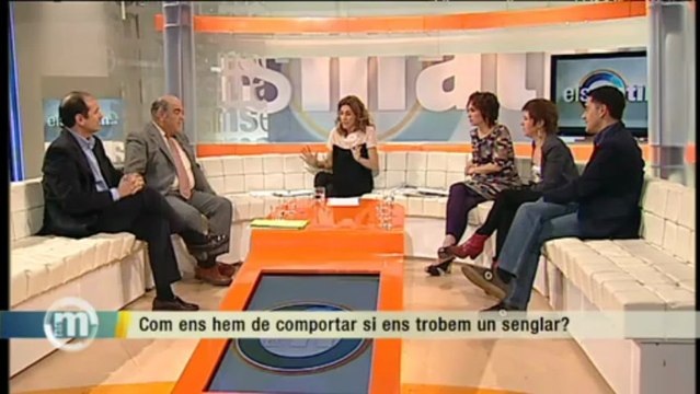 TV3 - Els Matins - Com ens hem de comportar si ens trobem un senglar?