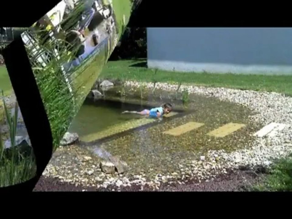 piscine naturelle biologique