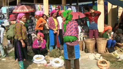 Vietnam Haut Tonkin 2012