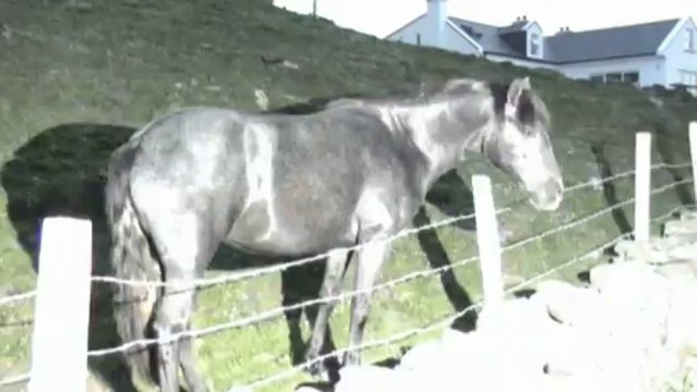 New01.mpg Irelande 5