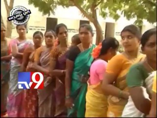 Media and Politics - Journalist Diary