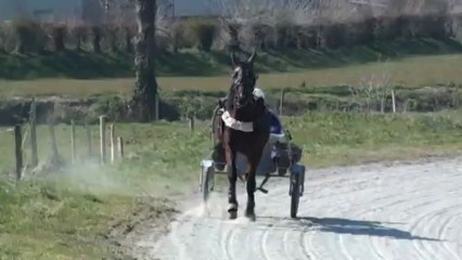 BROK CAFE AU SULKY AVEC STEPHAN