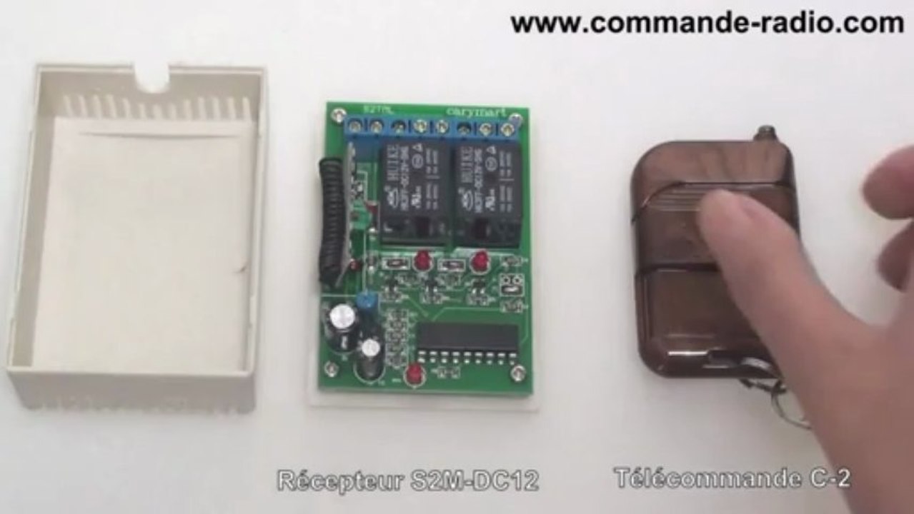 Télécommande électrique 2 Canaux pour lampe/ moteur 12V dc Mode de Contrôle Momentané