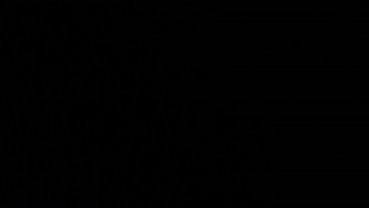 2013 04 07 Chiots 1 jour - Couinent