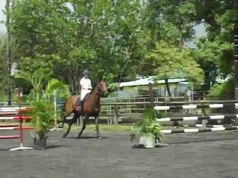 07.04.13 - amateur 1 vitesse - Danaé et Colando 2/2