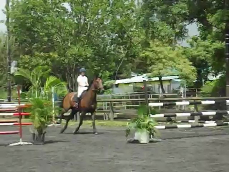 07.04.13 - amateur 1 vitesse - Danaé et Colando 2/2