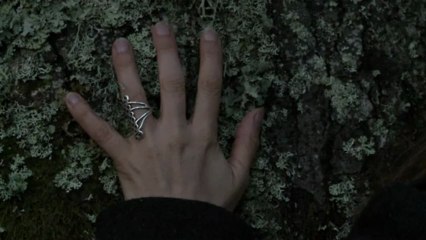 Je n'ai jamais quitté la forêt - Un film de Martin Lampprecht (extrait)