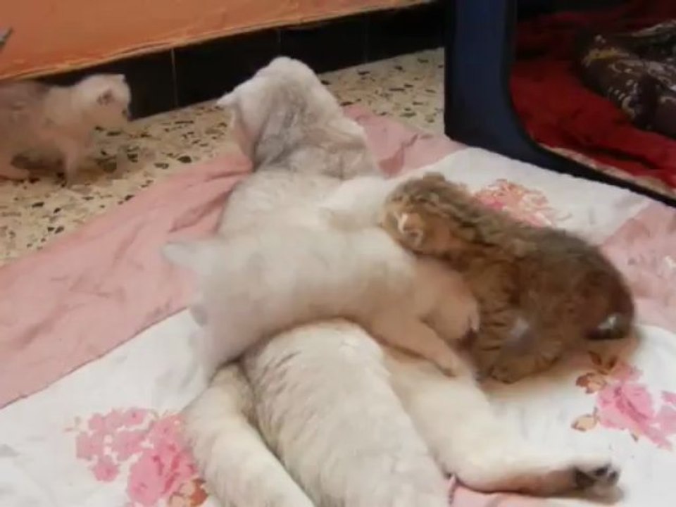 1ère sortie du parc le 8 avril 2013