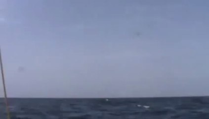 2009_09_24 - Pierre Raffin-Caboisse _ Babar _ sur les traces