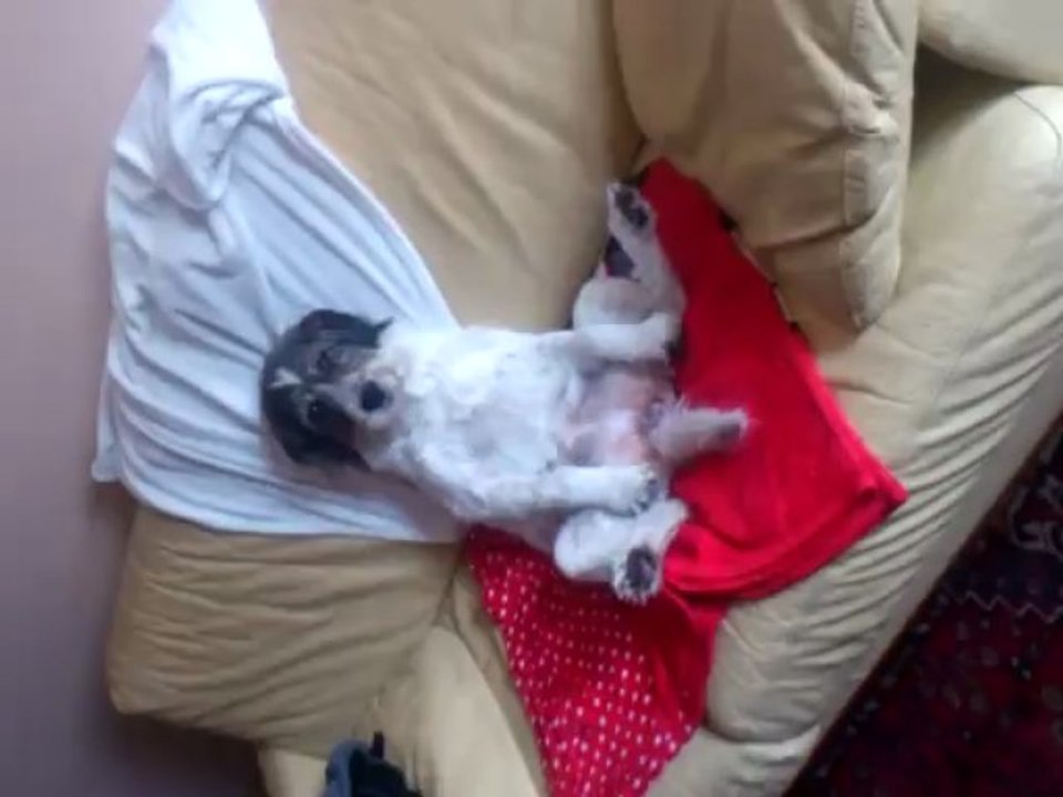 Lola en mode poseuse