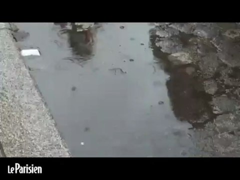 Parapluies et K-Way battent le pavé contre l'accord sur l'emploi