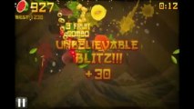 Fruit Ninja Arcade High Score - 1594!!!