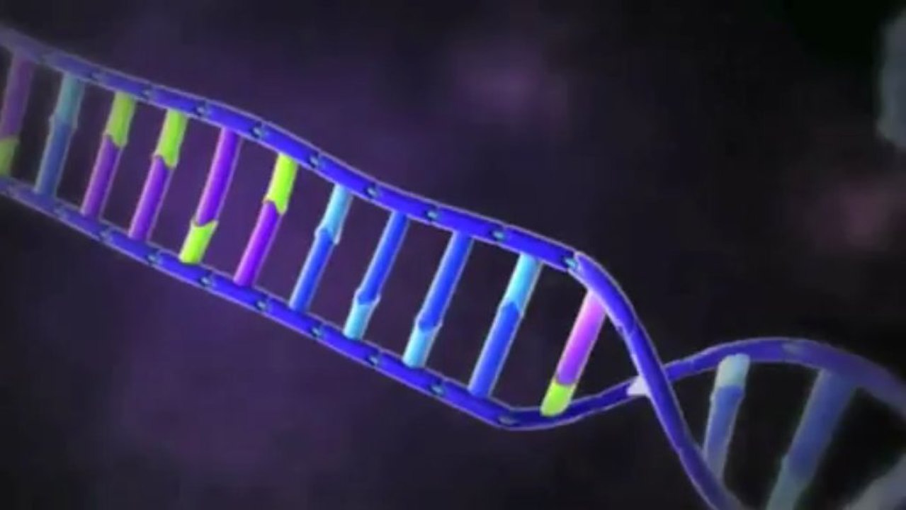 HIV (Human immunodeficiency virus)