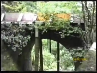 C'era una volta la Tramvia  Biella   Oropa (1911 1958)