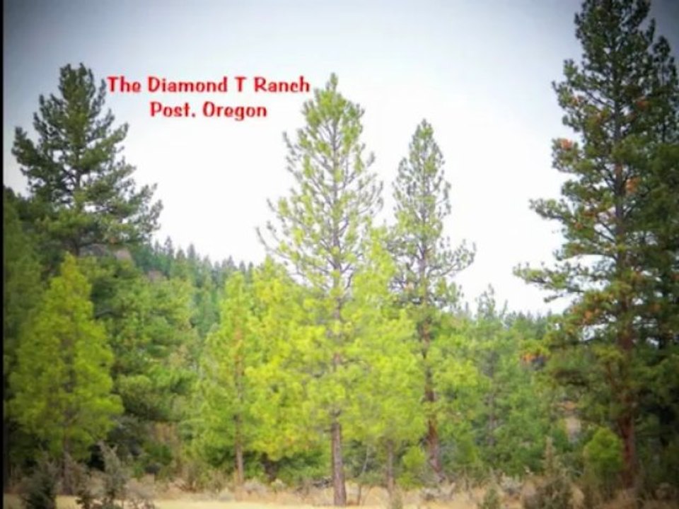 Cattle Ranch For Sale - Fay Ranches