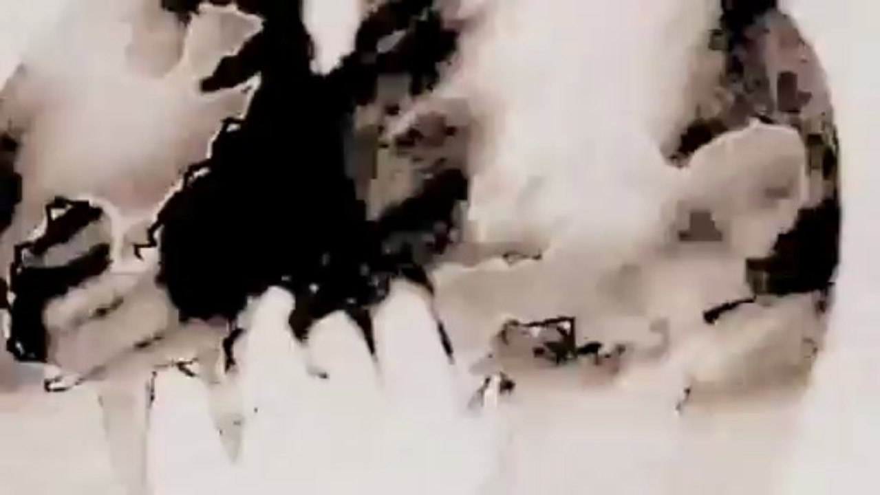 Cannabis-Sativa-and-the-Mechanical-Galaxy-The-Madcap-Maze-(2012-studio-version)[www.savevid.com]