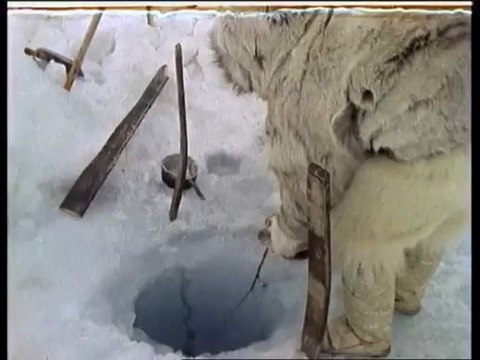 Les derniers rois de Thulé : avec les Inuits du pôle