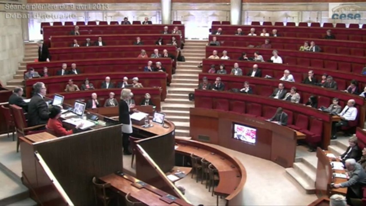 9 avril 2013, débat d'actualité au CESE : CNIL et Université d'été internationale des CES