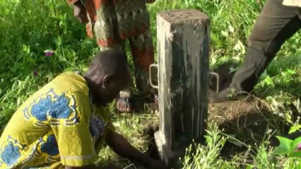 Reforestation au Bénin : la protection de la forêt sacrée Wimman à Ouéssè