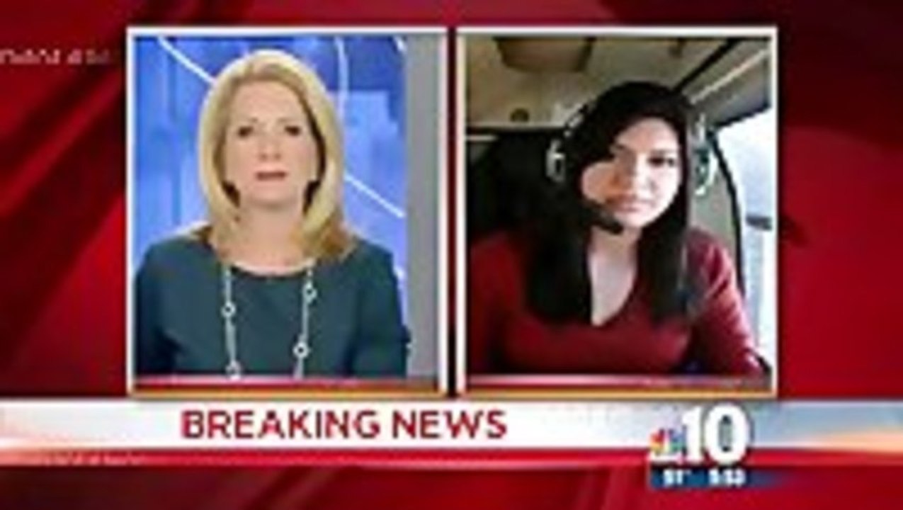 Dogs Start Humping On Live News Report