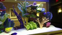 Jacksonville, FL. Aquatic Care, Custom Made Aquariums 904-588-2700 Jacksonville, Florida.