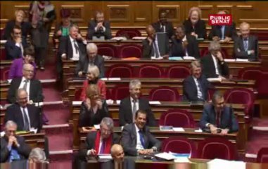 Mariage pour tous : Les moments forts du 9 avril au Sénat