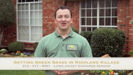 What are we planting for Spring Flowers Highland Village TX