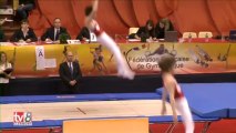 Demies finales championat de France de gymnastique acrobatique