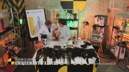 EM61 Peut-on se nourrir uniquement avec des algues ?