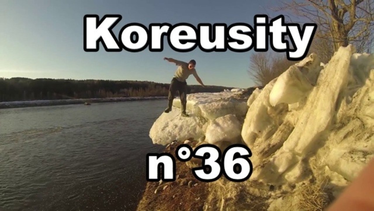 Koreusity n°36