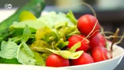 وجبة سمك شهية: | يوروماكس