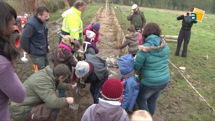 PLANTONS UN ARBRE AUX PRAIRIES D'HERVIN