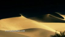 Stock Video - Dunes 01 - Stock Footage - Video Backgrounds
