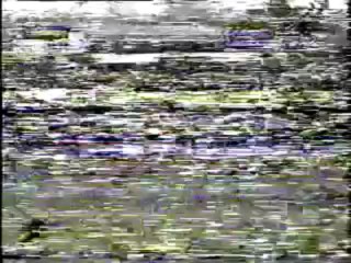 Shahid Afridi W.Record 100 off 37 Balls - Cric Chamber