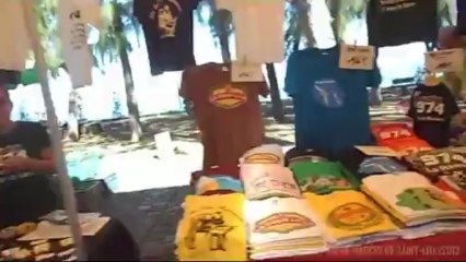 Survol du marché de St Leu (with 2BEES-Airline)