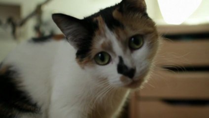 Teaser Co3 Ep3 Addiction(s)