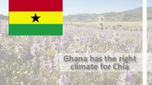 Growth Green Agriculture (GG Agriculture) - Ghana provides new agricultural investments opportunities